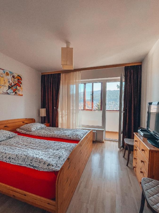 Sebiana Apartment Busteni Ngoại thất bức ảnh